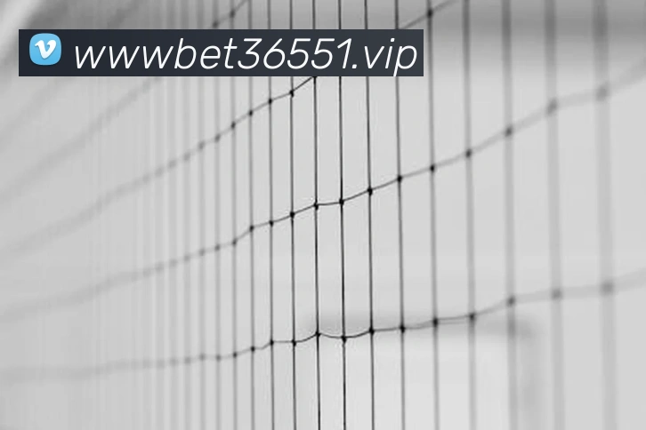 365bet官网全站App 365bet官网全站App